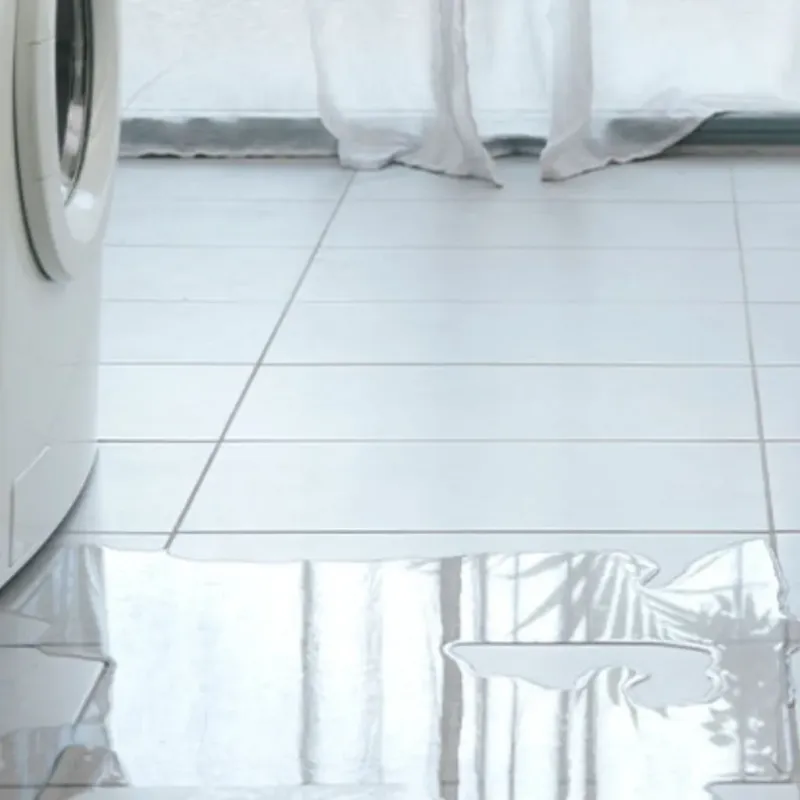 Appliance Leak Cleanup in Sturgeon, PA