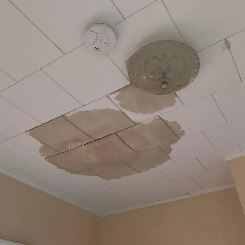 Ceiling Water Damage Repair in Sturgeon, PA