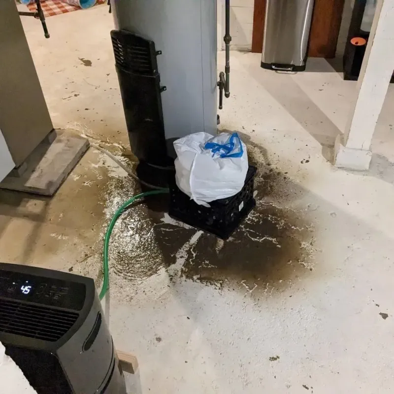 Sewage Backup Cleanup Service in Sturgeon, PA